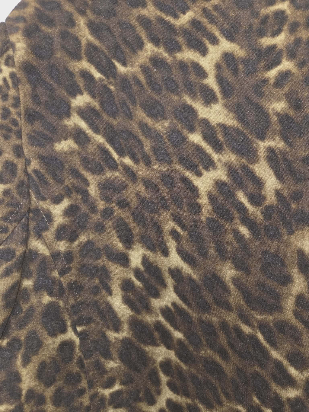 Cheetah Print Button-Up